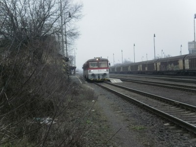 Zobrazi� cel� fotku