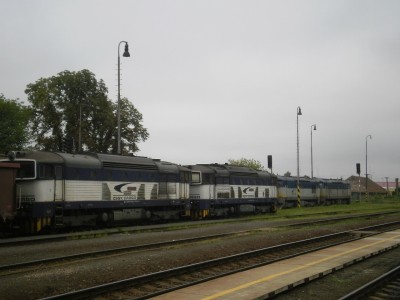 Zobrazi� cel� fotku