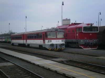 Zobrazi� cel� fotku