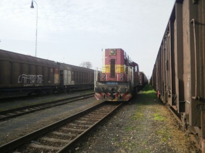 Zobrazi� cel� fotku