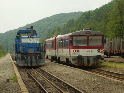 Zobrazi� cel� fotku