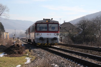 Zobrazi� cel� fotku