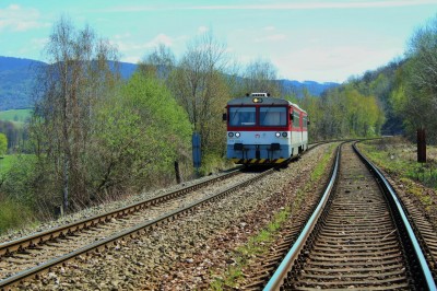 Zobrazi� cel� fotku