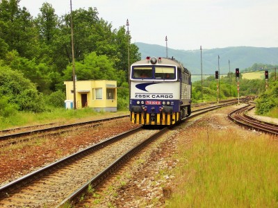 Zobrazi� cel� fotku