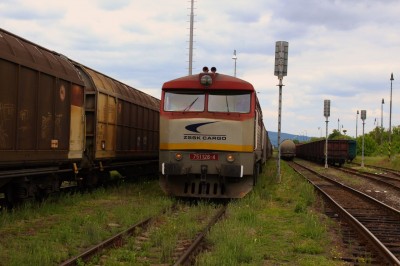 Zobrazi� cel� fotku