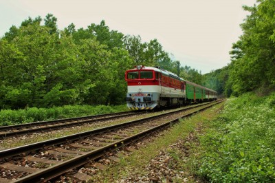 Zobrazi� cel� fotku