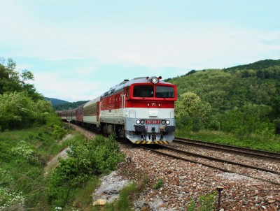 Zobrazi� cel� fotku