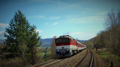 Zobrazi� cel� fotku