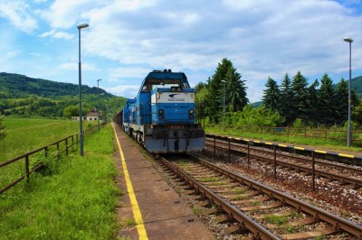 Zobrazi� cel� fotku