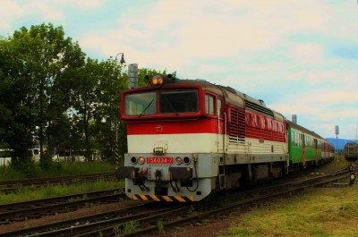 Zobrazi� cel� fotku