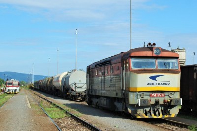 Zobrazi� cel� fotku