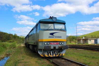 Zobrazi� cel� fotku