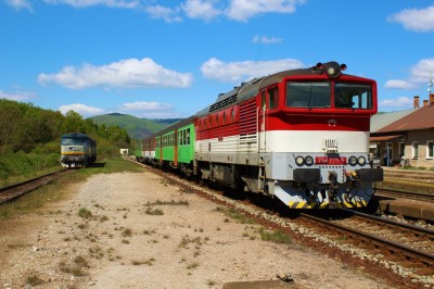 Zobrazi� cel� fotku