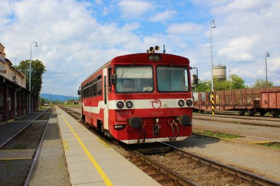 Zobrazi� cel� fotku