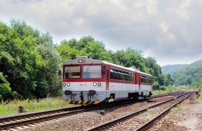 Zobrazi� cel� fotku