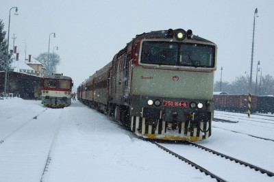 Zobrazi� cel� fotku