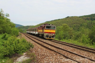 Zobrazi� cel� fotku