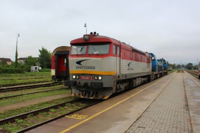 Zobrazi� cel� fotku