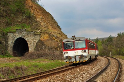 Zobrazi� cel� fotku