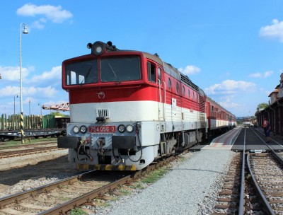 Zobrazi� cel� fotku