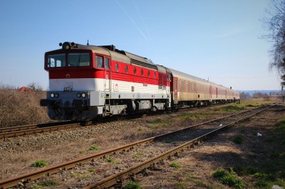 Zobrazi� cel� fotku