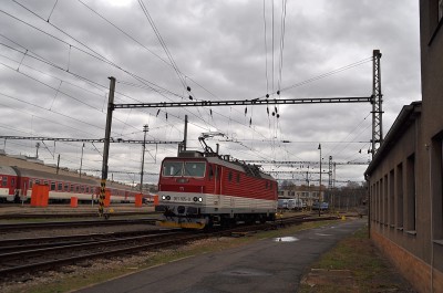 Zobrazi� cel� fotku