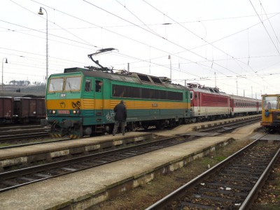 Zobrazi� cel� fotku