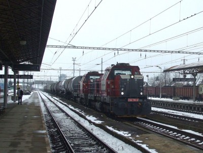 Zobrazi� cel� fotku