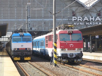 Zobrazi� cel� fotku