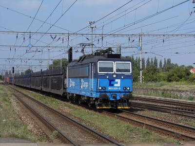 Zobrazi� cel� fotku