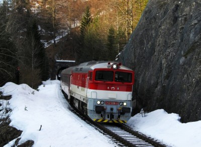 Zobrazi� cel� fotku