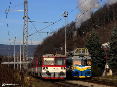 Zobrazi� cel� fotku