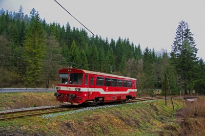 Zobrazi� cel� fotku