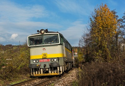 Zobrazi� cel� fotku