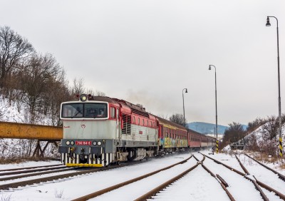 Zobrazi� cel� fotku