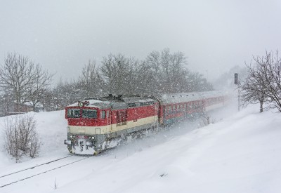 Zobrazi� cel� fotku