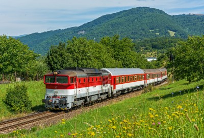 Zobrazi� cel� fotku