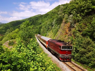 Zobrazi� cel� fotku