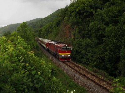 Zobrazi� cel� fotku