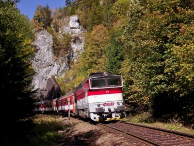Zobrazi� cel� fotku