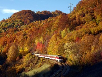 Zobrazi� cel� fotku