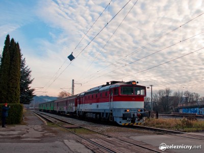 Zobrazi� cel� fotku