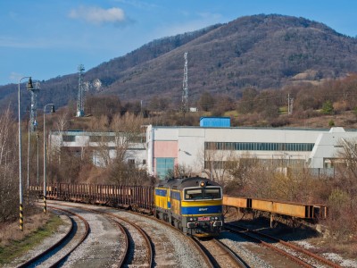 Zobrazi� cel� fotku