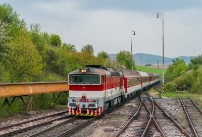 Zobrazi� cel� fotku