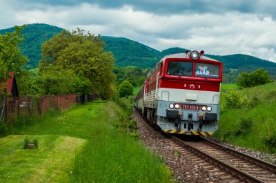 Zobrazi� cel� fotku