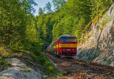 Zobrazi� cel� fotku