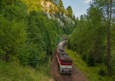 Zobrazi� cel� fotku