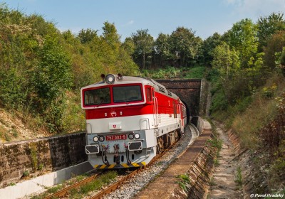 Zobrazi� cel� fotku