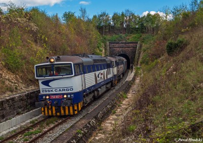 Zobrazi� cel� fotku