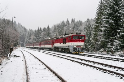 Zobrazi� cel� fotku